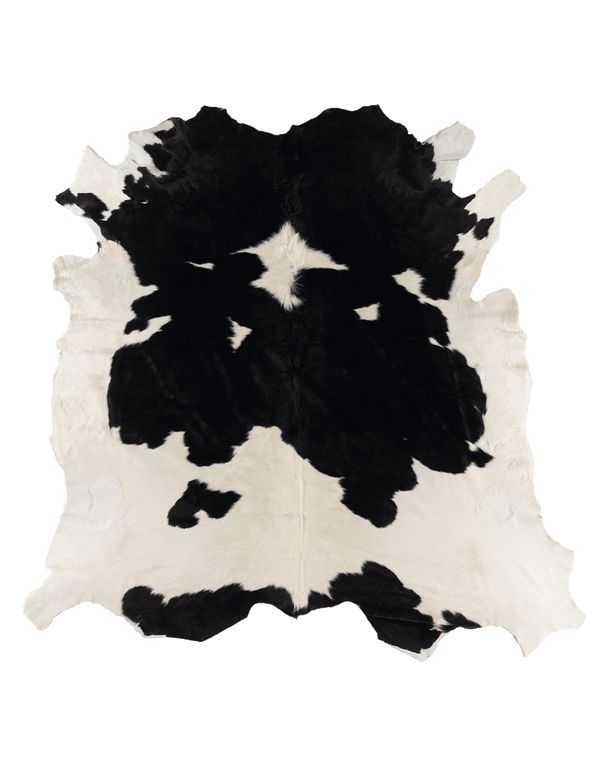 Black Cloud #17264