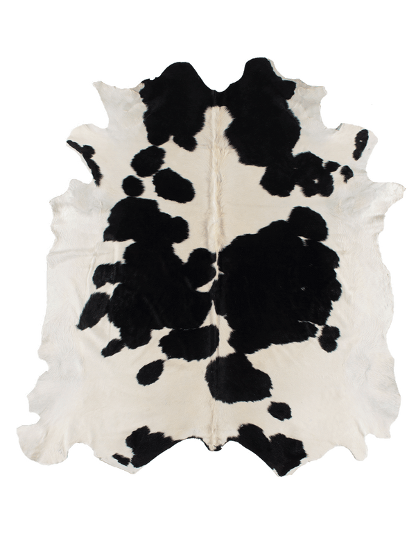 Black Cloud #17265