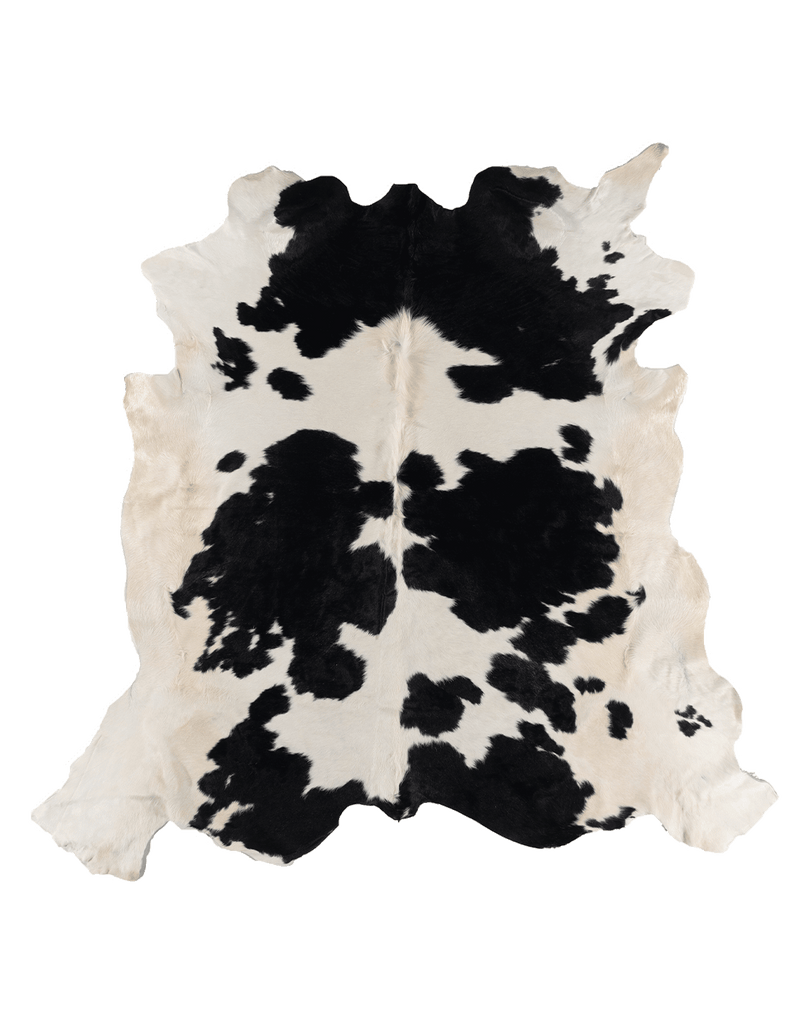 Black Cloud #17266