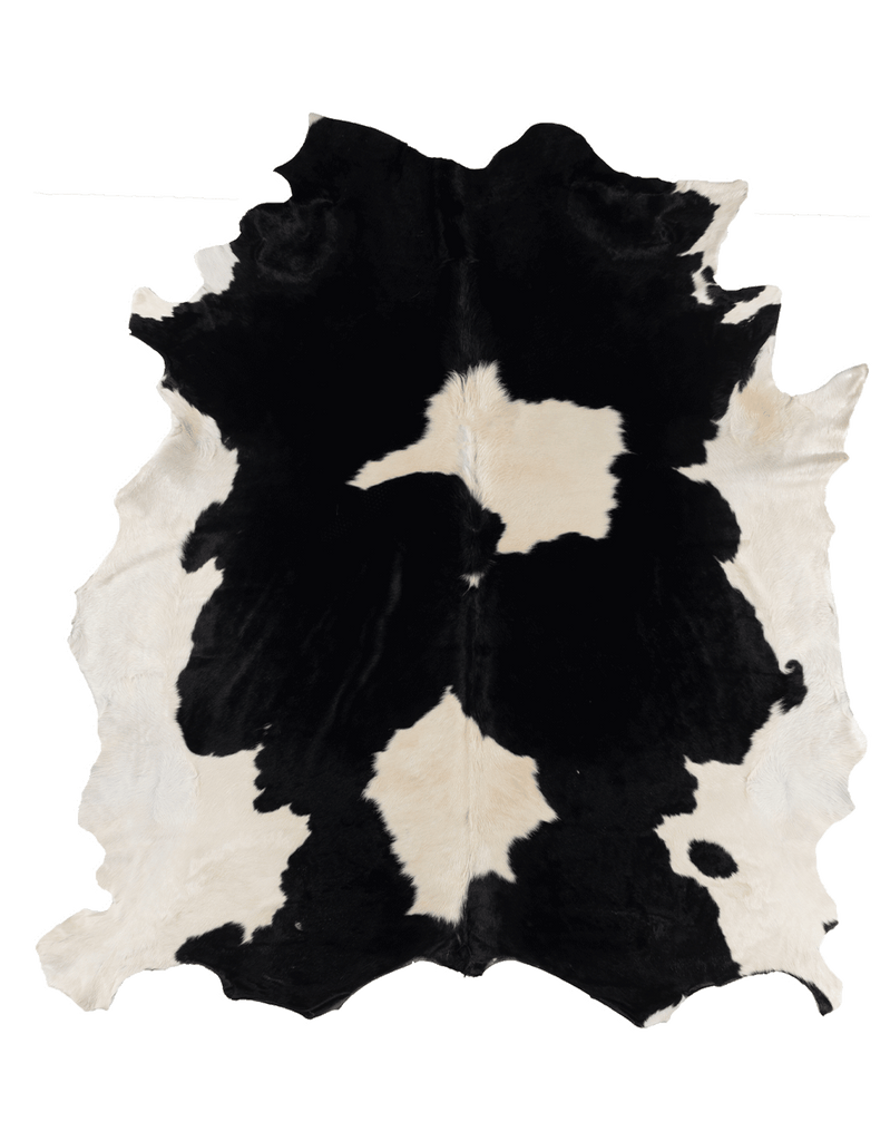 Black Cloud #17278