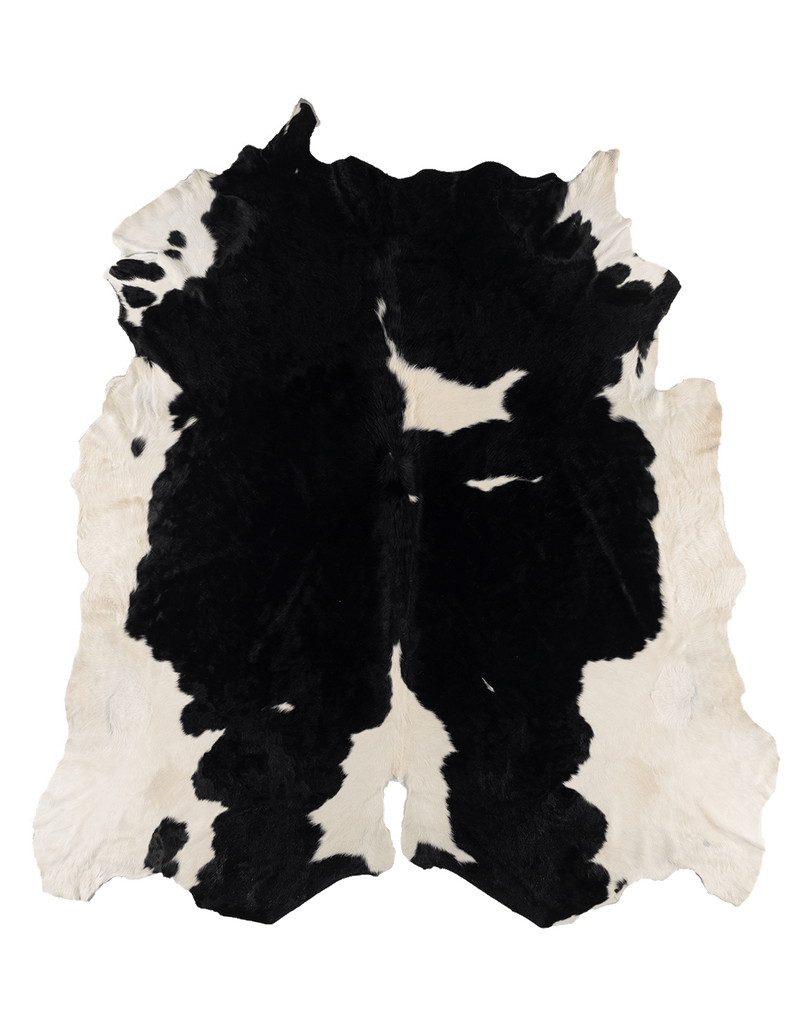 Black Cloud #17279