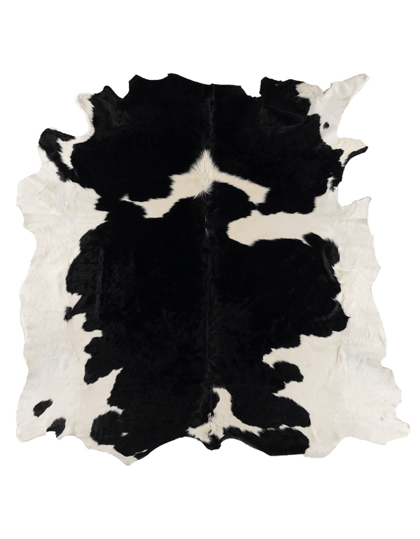 Seventh House LA / Black Cloud #17280