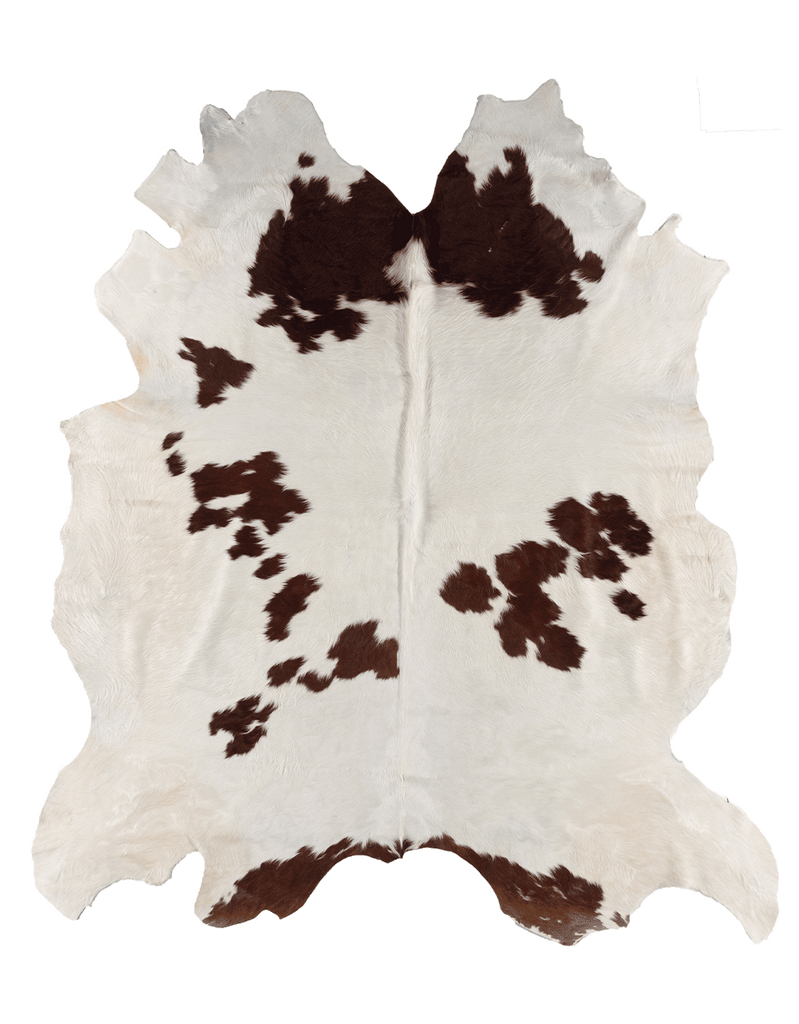 Brown Cloud #17281