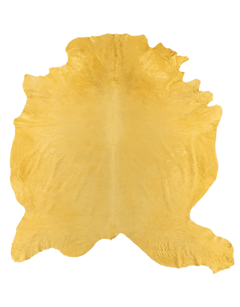 Lemon #17561