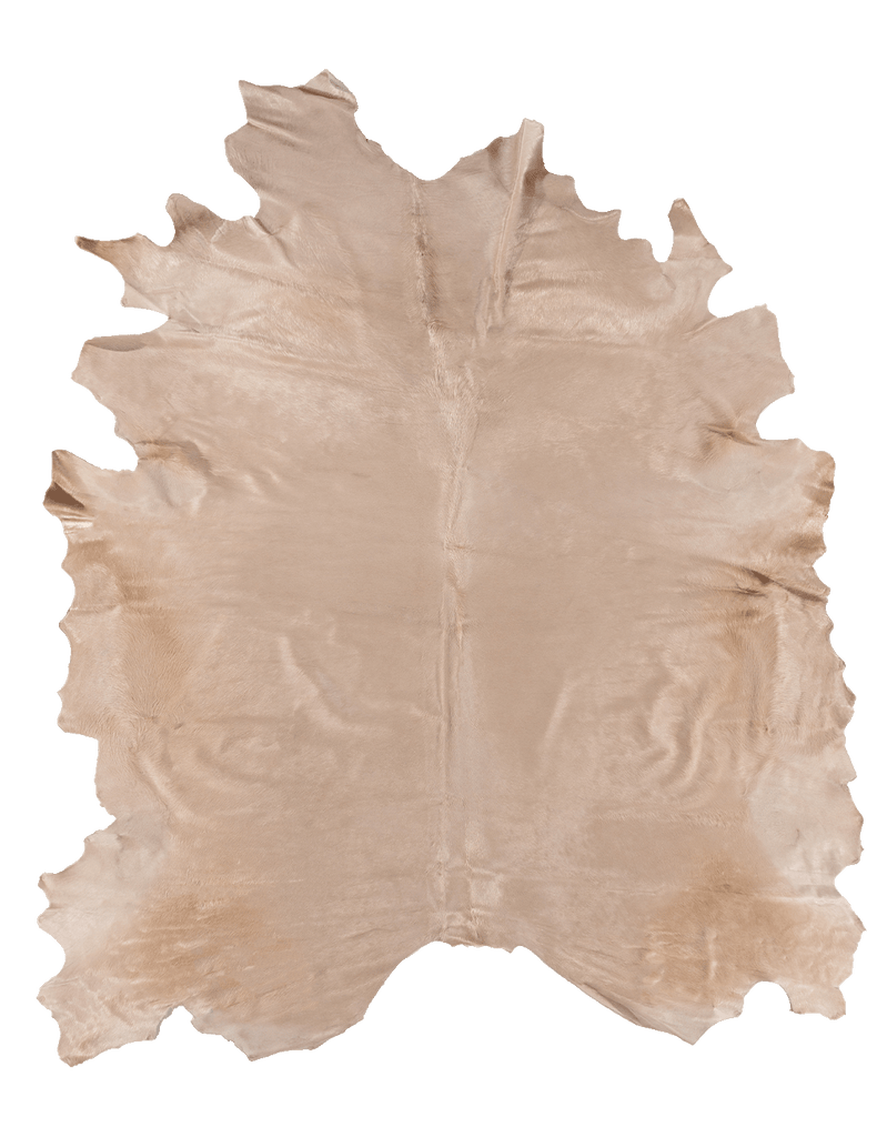 Birch #18095