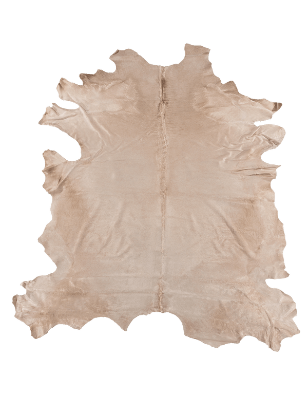 Birch #18096