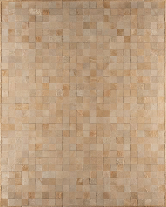 Design Study / Hide Rug / 17010