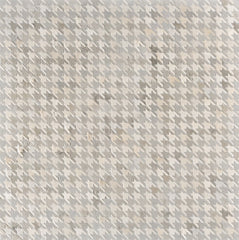 Black Dog / Hide Rug / 19540
